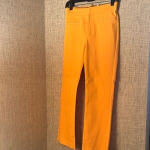 Zara Orange Boot Cut Pants